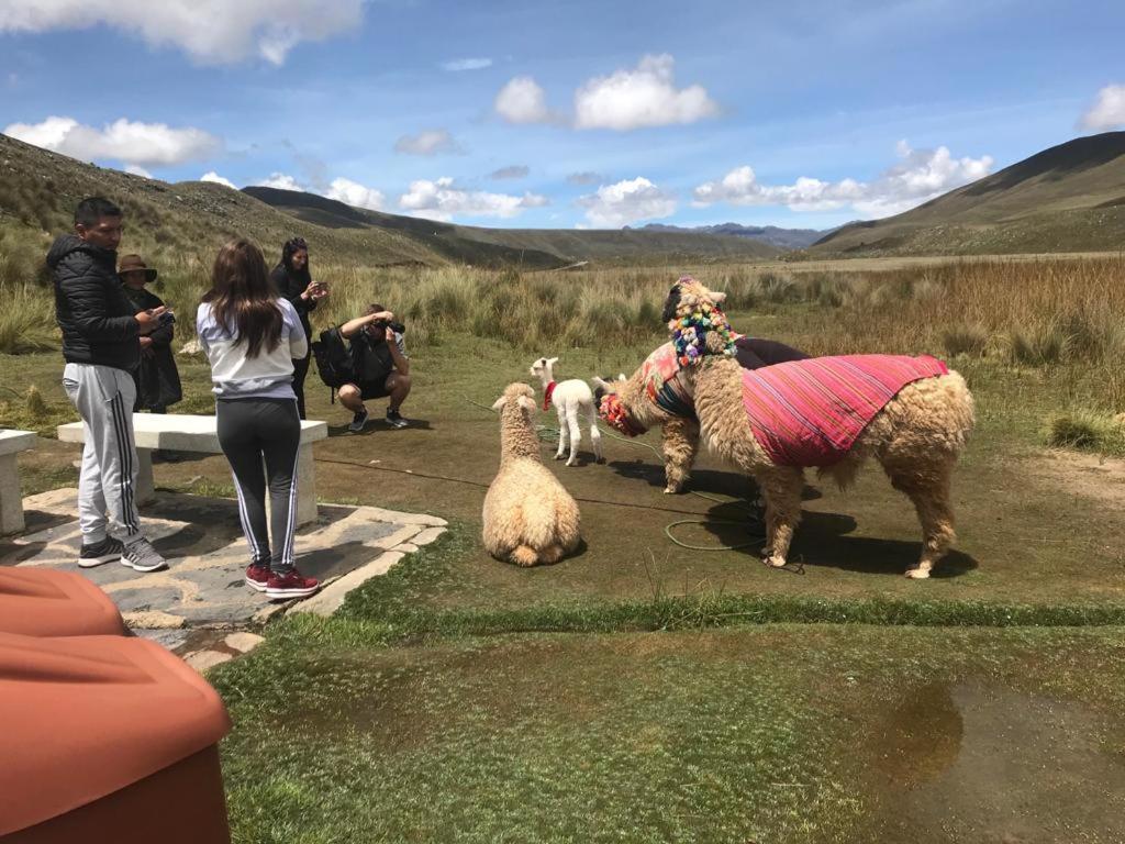 Bed and breakfast Amazing Huaraz Extérieur photo