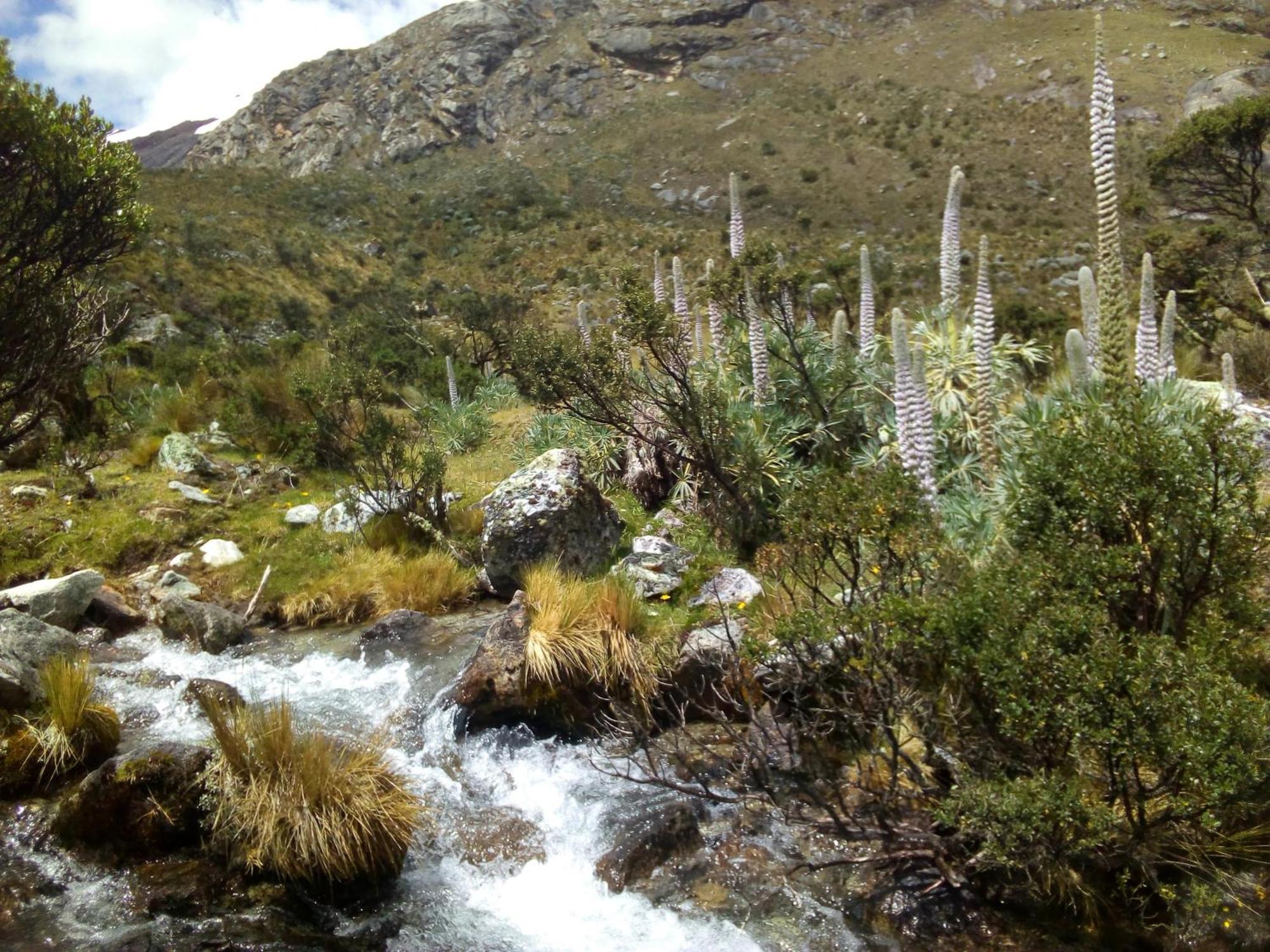 Bed and breakfast Amazing Huaraz Extérieur photo
