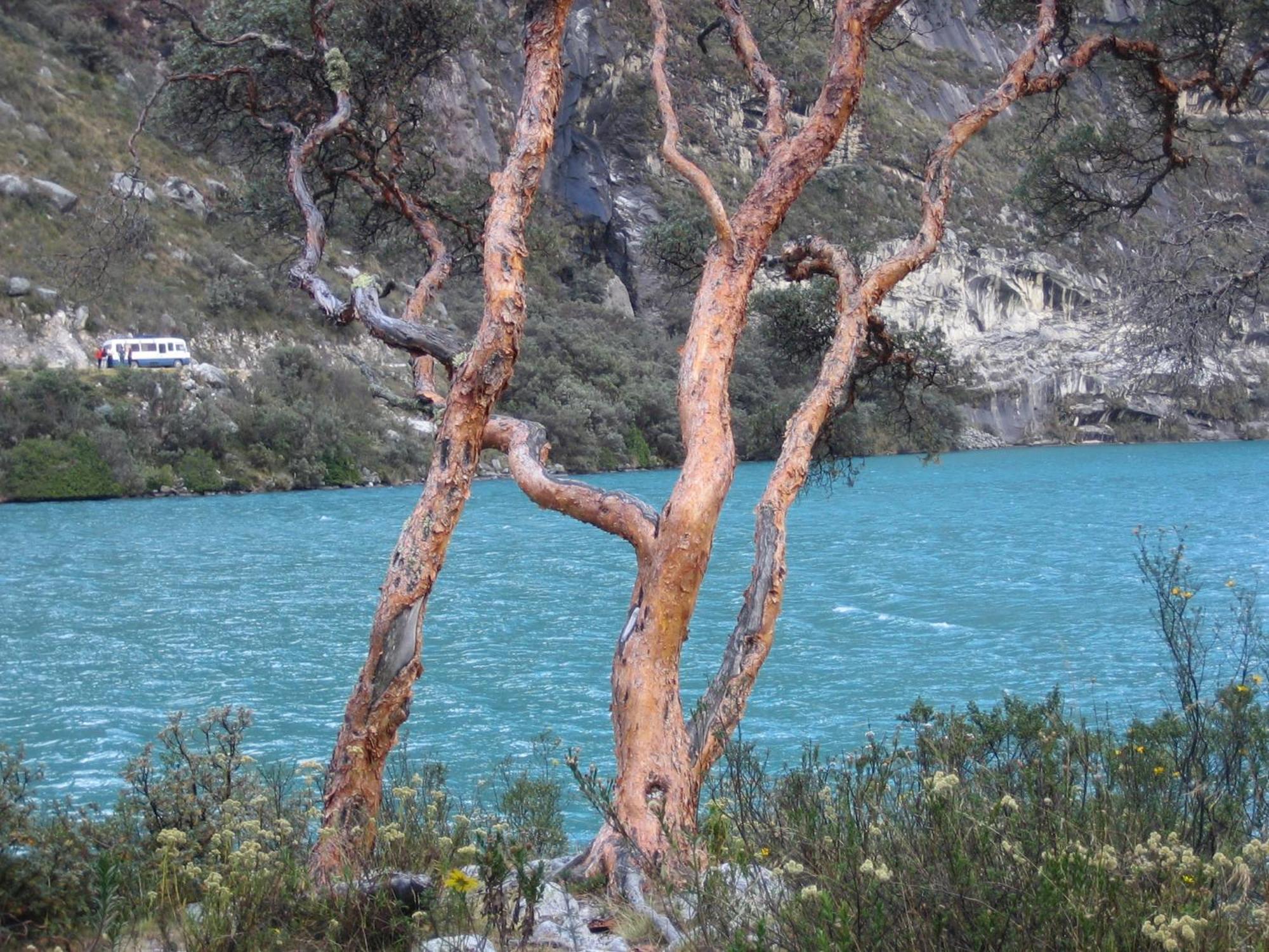 Bed and breakfast Amazing Huaraz Extérieur photo